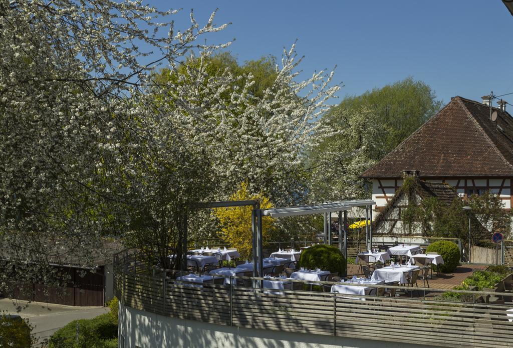 Pilgerhof Und Rebmannshof Hotel Uhldingen-Mühlhofen Eksteriør billede